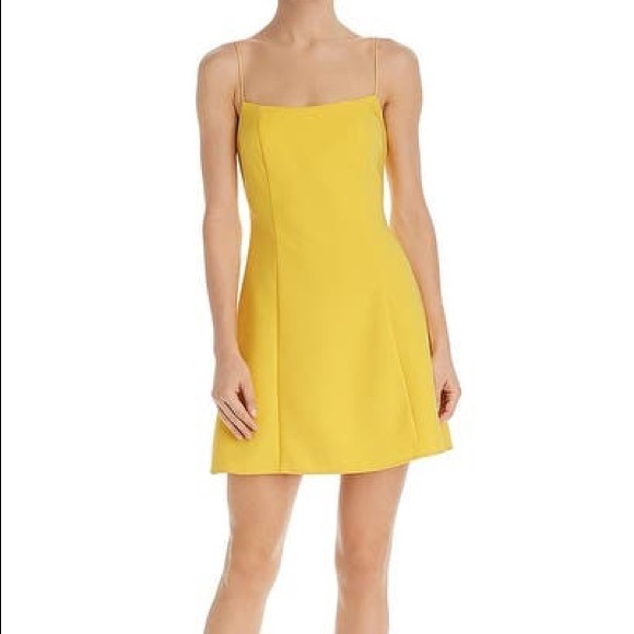 Likely Dresses & Skirts - Likely Carter Cocktail Dress Spaghetti Straps